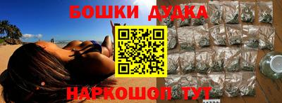 крисы Нальчик