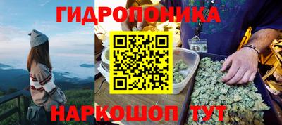 крисы Нальчик