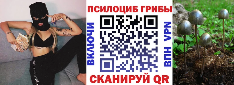 Псилоцибиновые грибы Cubensis  Череповец 