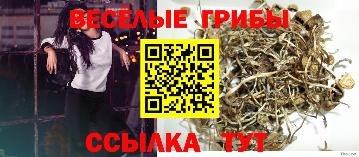 Псилоцибиновые грибы мухоморы  Вход с VPN  Череповец 